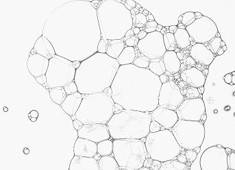 Ectoin used in Golden Child products