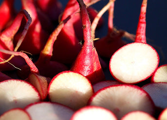 Leuconostoc / Radish Root Ferment Filtrate used in Golden Child products